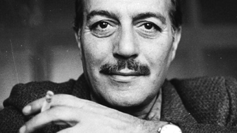 cemal süreya
