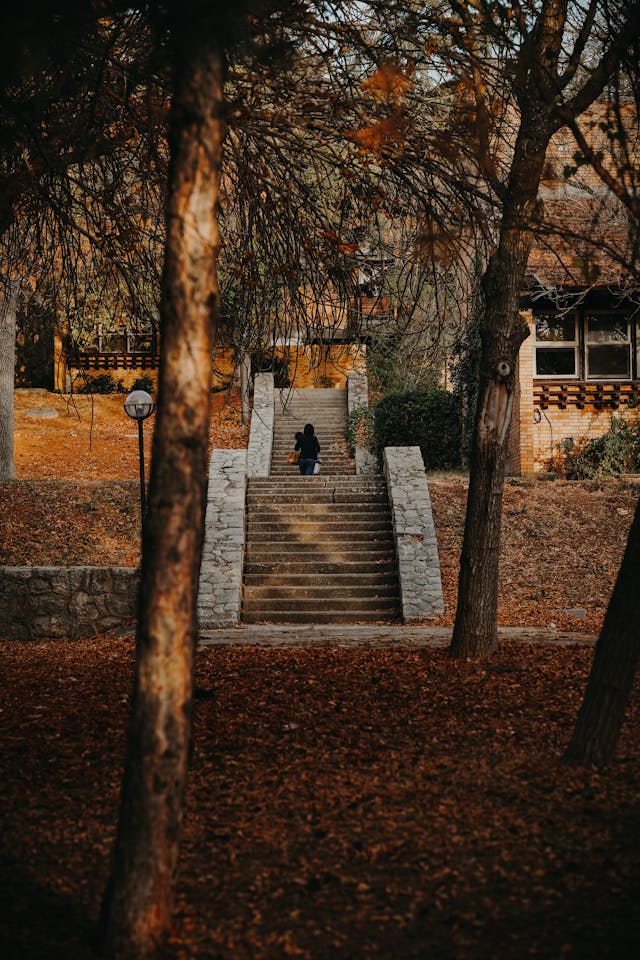 karanfil sokağı şiiri, ahmed arif şiirleri